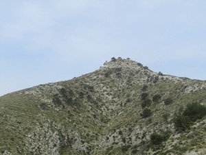 IMG_5826 (Medium)